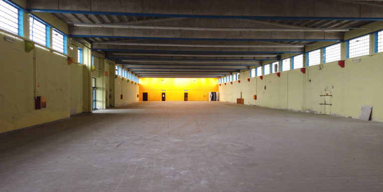 DCIM101MEDIADJI_0906.JPG
