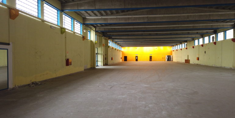 DCIM101MEDIADJI_0907.JPG