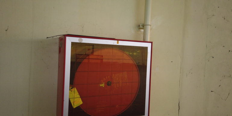 DCIM101MEDIADJI_0911.JPG
