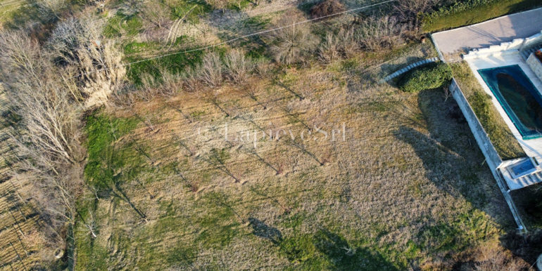 dji_fly_20230213_095604_333_1676481894340_photo_optimized