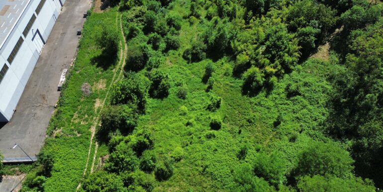 dji_fly_20260512_144300_828_1778594788053_photo_optimized
