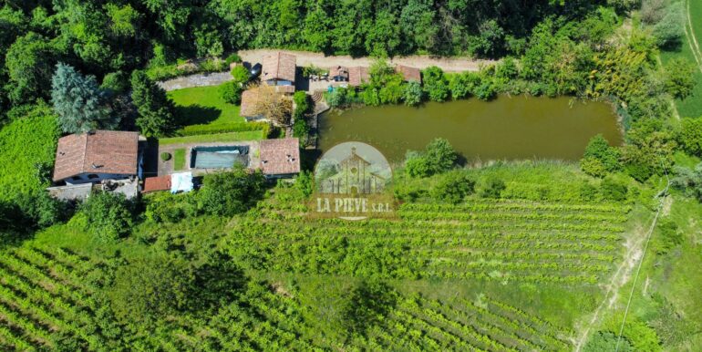 dji_fly_20240518_114912_43_1716025810567_photo_optimized-min