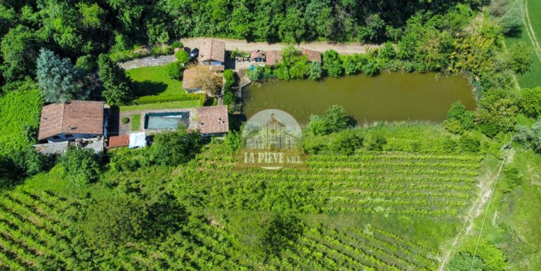 dji_fly_20240518_114918_44_1716025807008_photo_optimized-min