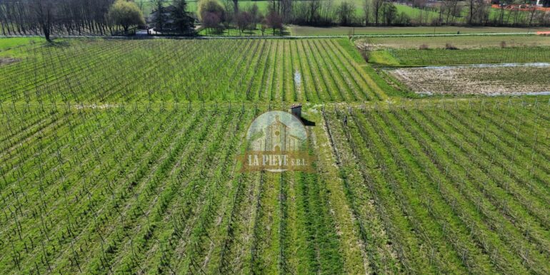 dji_fly_20250320_092952_339_1743421941201_photo_optimized-min
