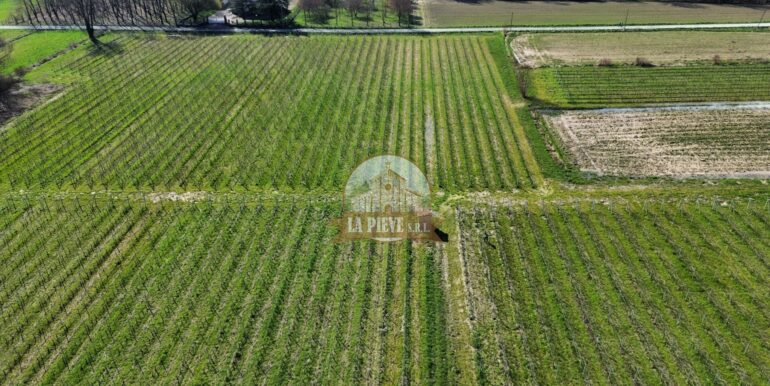 dji_fly_20250320_093002_340_1743421941697_photo_optimized-min