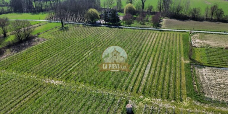 dji_fly_20250320_093008_341_1743421942163_photo_optimized-min