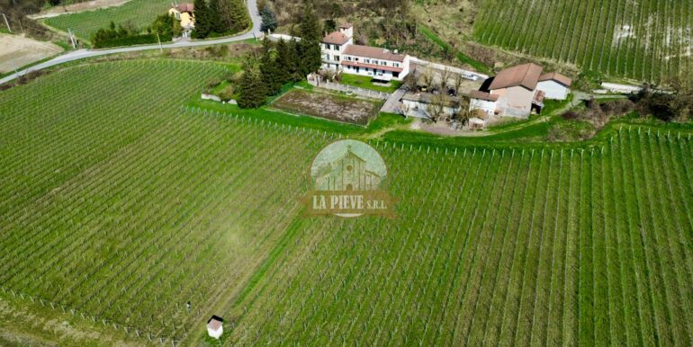 dji_fly_20250320_093036_343_1743421940257_photo_optimized-min
