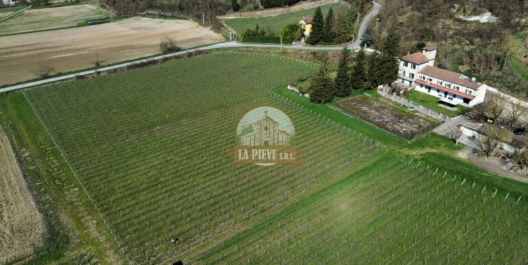 dji_fly_20250320_093054_346_1743421938845_photo_optimized-min