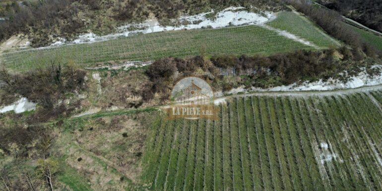 dji_fly_20250320_093114_347_1743421938366_photo_optimized-min