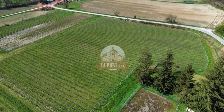 dji_fly_20250320_093124_348_1743421937823_photo_optimized-min