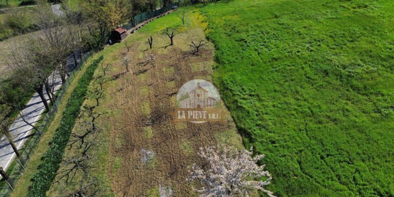 dji_fly_20250411_101618_365_1744379520925_photo_optimized-min