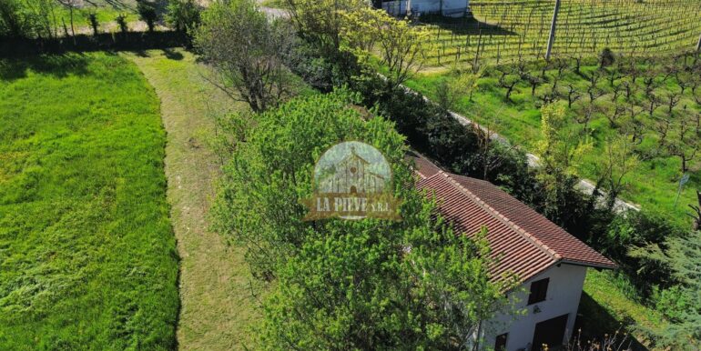 dji_fly_20250411_101630_367_1744379519900_photo_optimized-min
