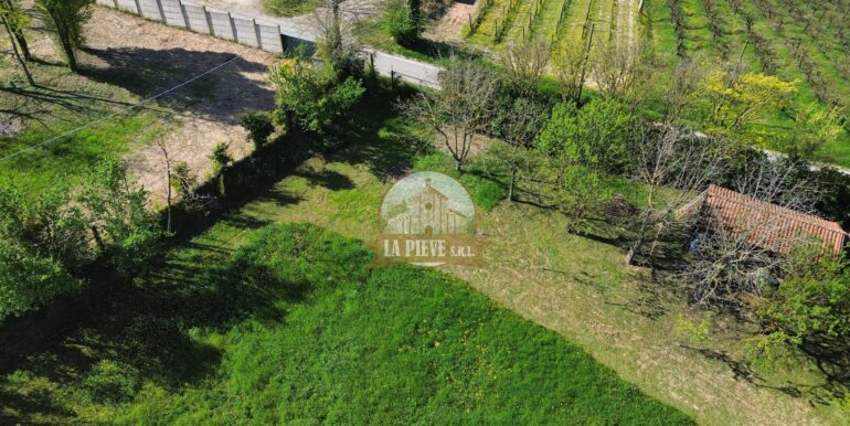 dji_fly_20250411_101736_372_1744379517365_photo_optimized-min