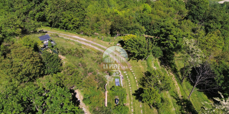 dji_fly_20250516_151216_410_1747657897067_photo_optimized