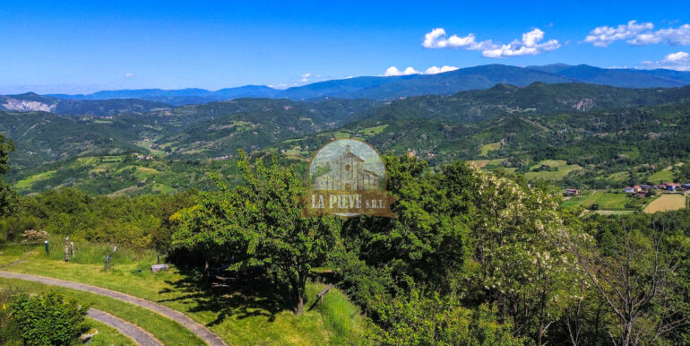 dji_fly_20250516_151250_412_1747657896071_photo_optimized
