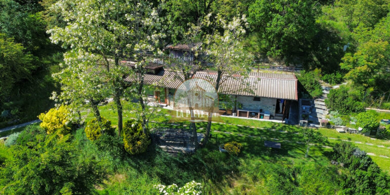 dji_fly_20250516_151512_424_1747657890513_photo_optimized