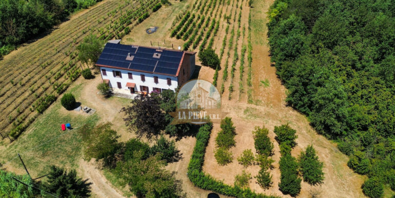 dji_fly_20250711_122238_569_1752250931981_photo_optimized