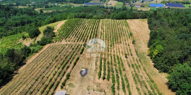 dji_fly_20250711_122258_571_1752250931034_photo_optimized
