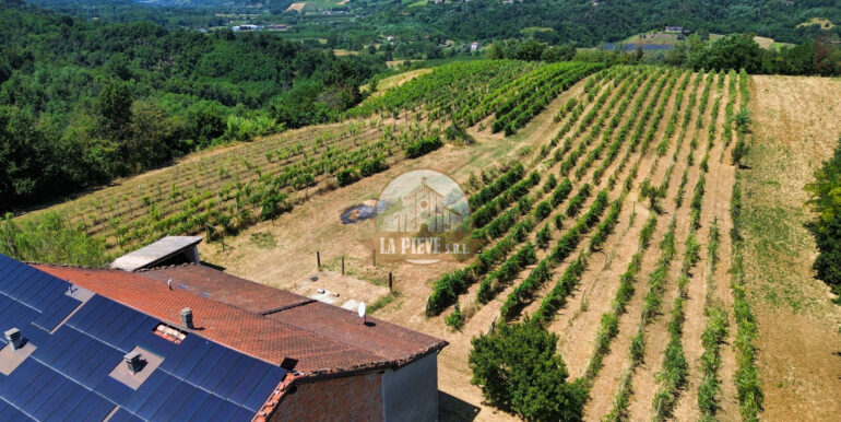 dji_fly_20250711_122420_580_1752250926695_photo_optimized
