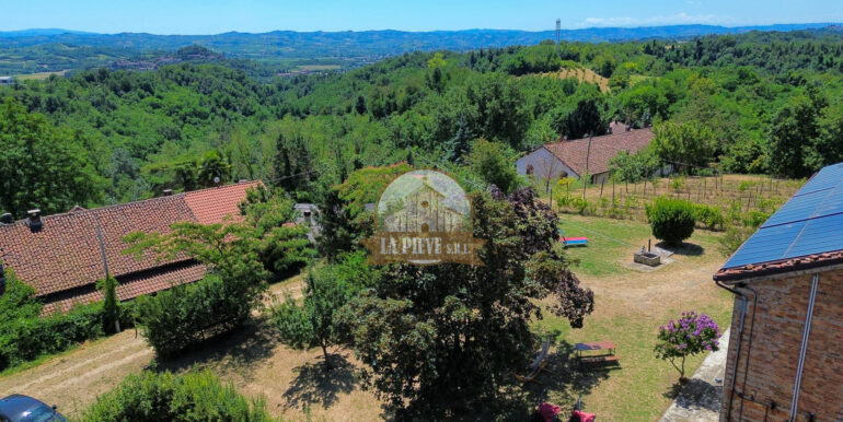 dji_fly_20250711_122444_583_1752250925206_photo_optimized