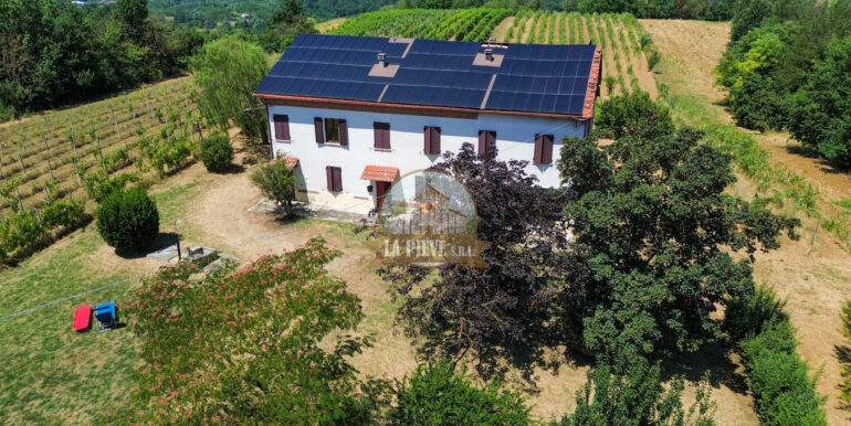 dji_fly_20250711_122502_585_1752250924218_photo_optimized