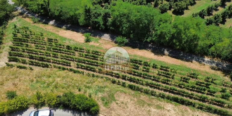 dji_fly_20250711_113038_549_1752250941199_photo_optimized 2