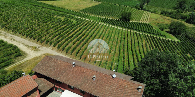 dji_fly_20250711_113056_551_1752250940221_photo_optimized 2