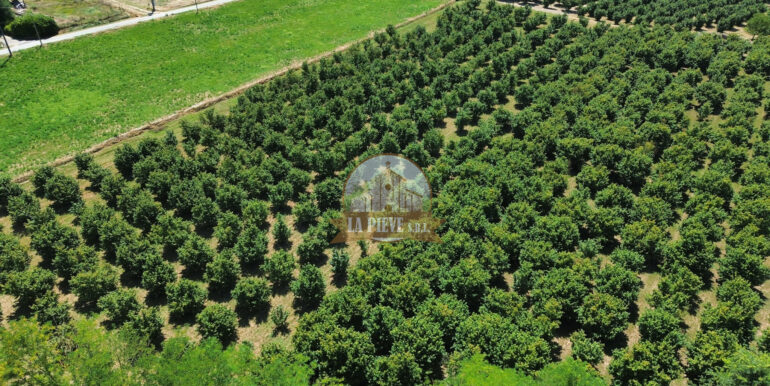 dji_fly_20250711_113126_554_1752250938734_photo_optimized 2