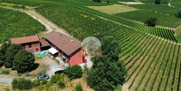 dji_fly_20250711_113232_560_1752250935825_photo_optimized 2