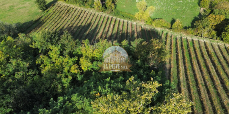 dji_fly_20250930_102008_650_1759228767310_photo_optimized