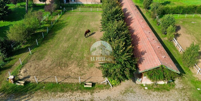 dji_fly_20251010_104336_682_1760117917429_photo_optimized-min
